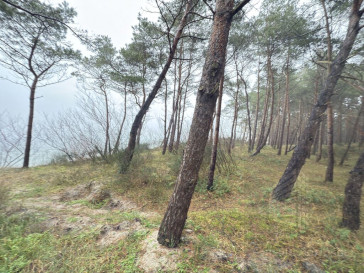 Mieszkanie Sprzedaż Międzywodzie Westerplatte