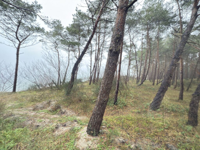 Mieszkanie Sprzedaż Międzywodzie Westerplatte 17