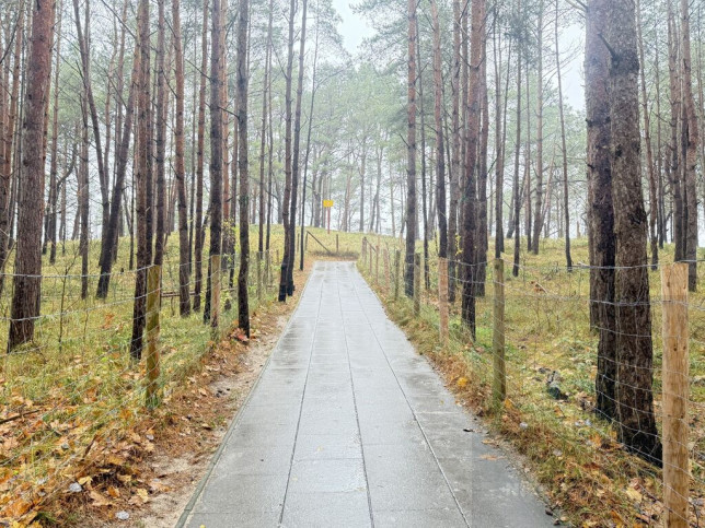 Mieszkanie Sprzedaż Międzywodzie Westerplatte 18