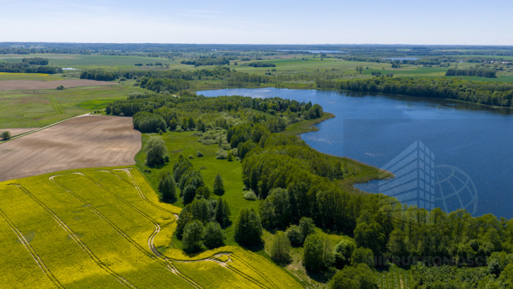 Działka Sprzedaż Sielsko 9