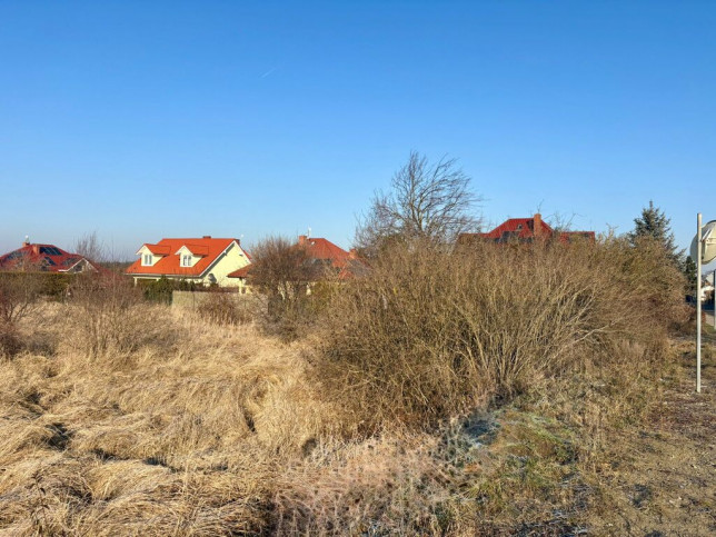 Działka Sprzedaż Wołczkowo 2