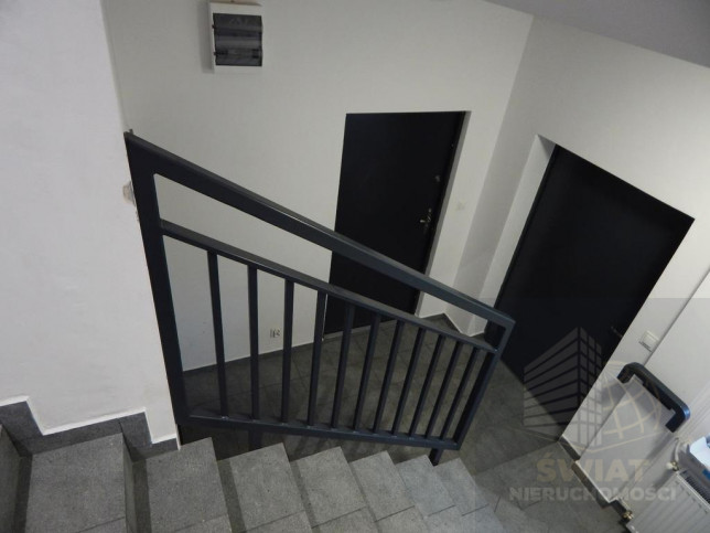 Lokal Wynajem Szczecin Dąbie 13