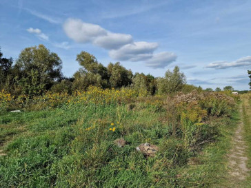 Działka Sprzedaż Starościn