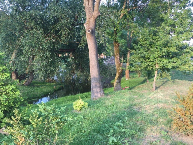 Mieszkanie Wynajem Skarbimierzyce 16