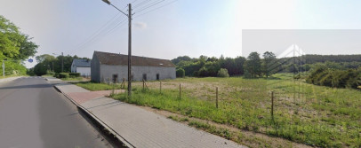 Działka Sprzedaż Recz Leśna