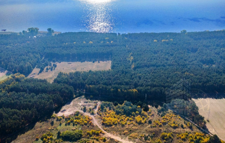 Działka Sprzedaż Dargobądz 1