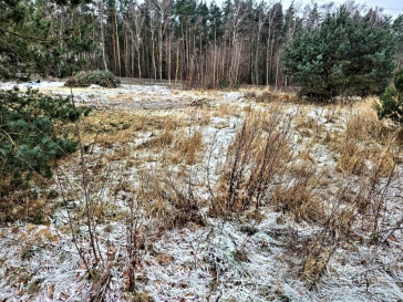 Działka Sprzedaż Dargobądz