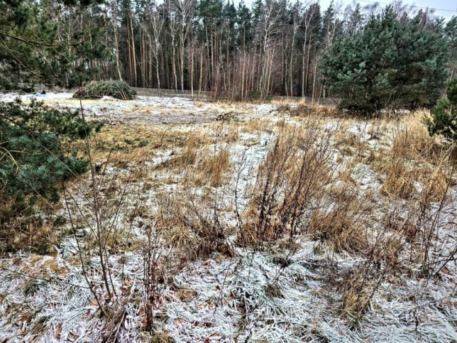 Działka Sprzedaż Dargobądz 2