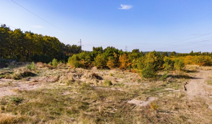 Działka Sprzedaż Dargobądz 6