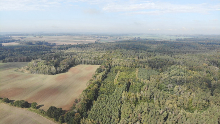 Działka Sprzedaż Rów 1