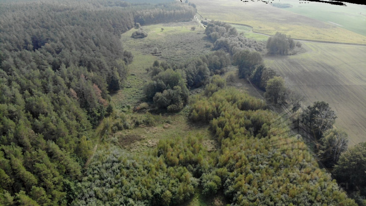 Działka Sprzedaż Rów 2