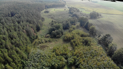 Działka Sprzedaż Rów