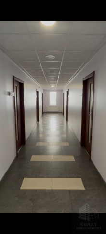 Lokal Wynajem Szczecin Śródmieście Jana Kazimierza 5