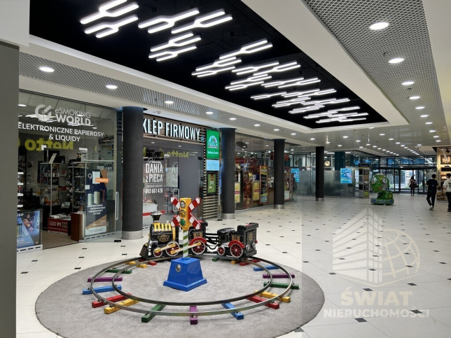 Lokal Wynajem Szczecin Śródmieście-Centrum 1