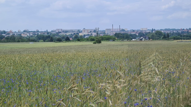 Działka Sprzedaż Stargard 2
