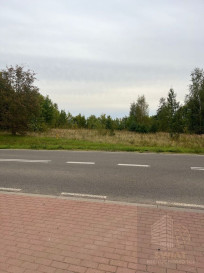 Działka Sprzedaż Storkowo