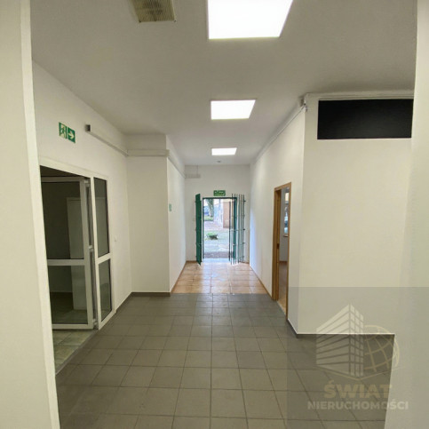 Lokal Wynajem Szczecin Centrum 5
