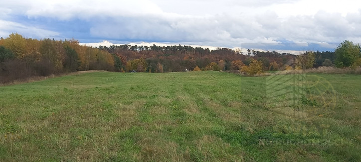 Działka Sprzedaż Steklno 2