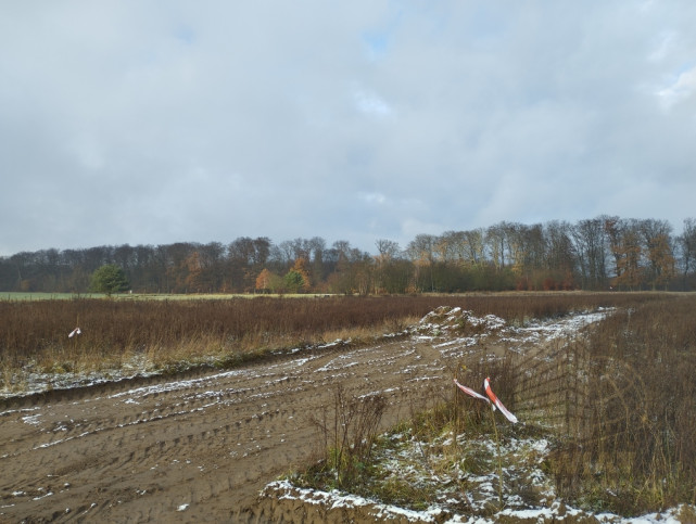 Działka Sprzedaż Dobropole Gryfińskie 5