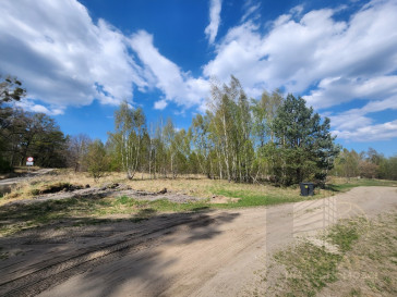 Działka Sprzedaż Grzepnica