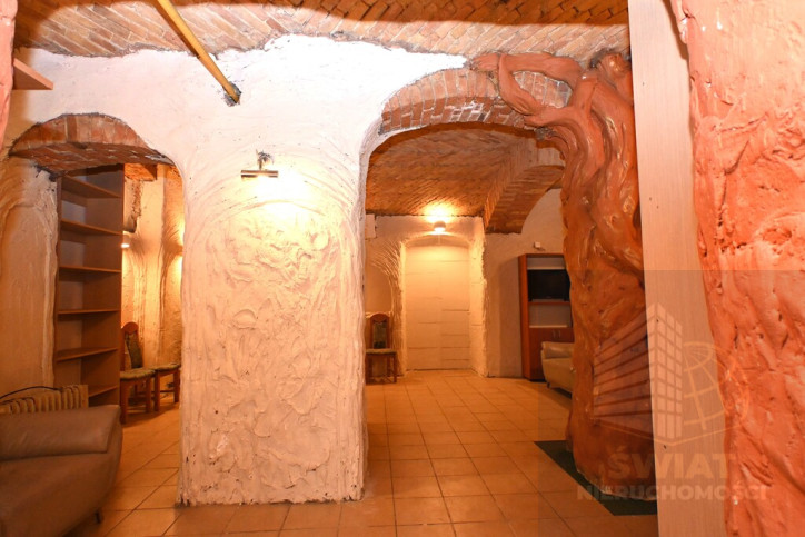 Lokal Wynajem Szczecin Centrum 6