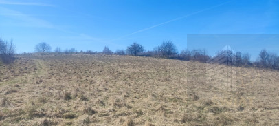 Działka Sprzedaż Linówko
