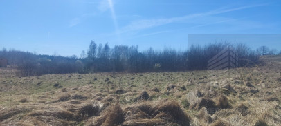 Działka Sprzedaż Linówko
