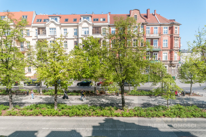 Mieszkanie Wynajem Szczecin Śródmieście-Centrum Aleja Papieża Jana Pawła II 11