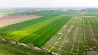 Działka Sprzedaż Pyrzyce