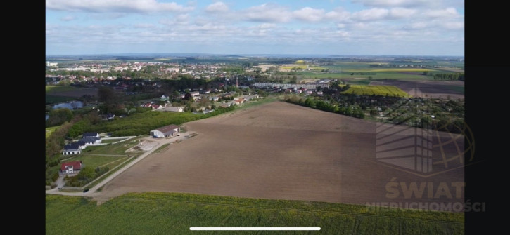 Działka Sprzedaż Pyrzyce 6