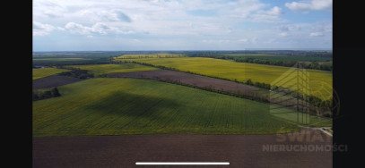 Działka Sprzedaż Pyrzyce