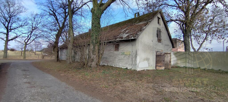 Obiekt Sprzedaż Budno 4