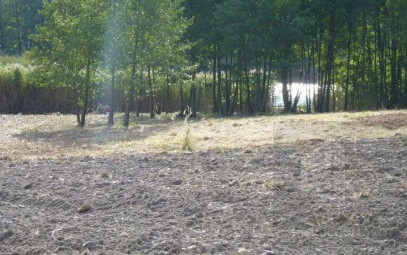 Działka Sprzedaż Zieleniewo