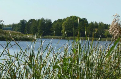 Działka Sprzedaż Zieleniewo