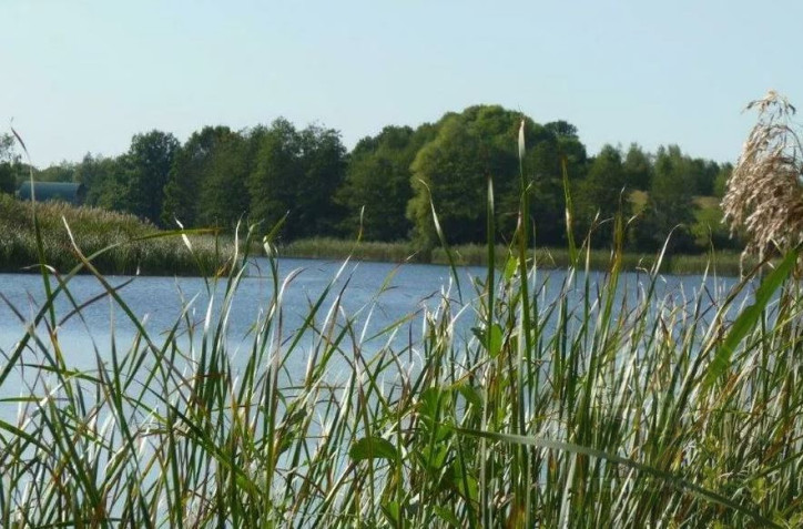 Działka Sprzedaż Zieleniewo 6