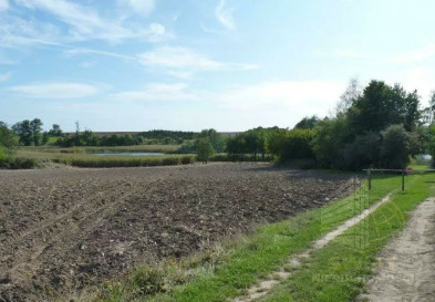 Działka Sprzedaż Zieleniewo