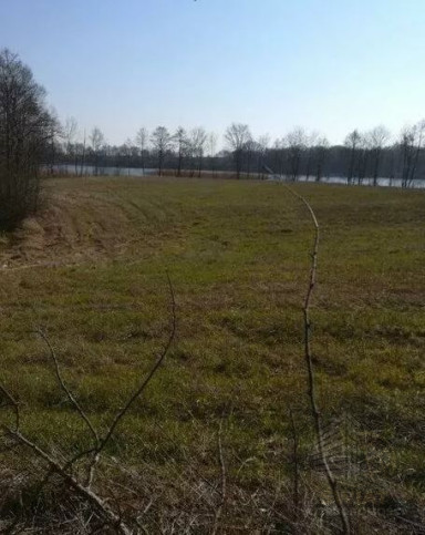Działka Sprzedaż Kaszewo 4