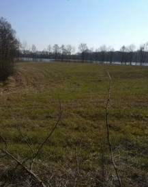 Działka Sprzedaż Kaszewo