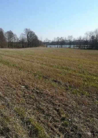 Działka Sprzedaż Kaszewo 3