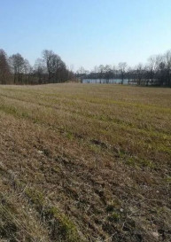 Działka Sprzedaż Kaszewo