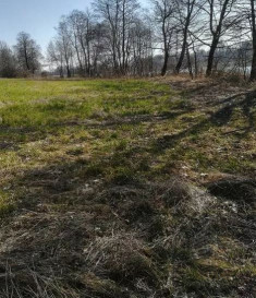 Działka Sprzedaż Kaszewo