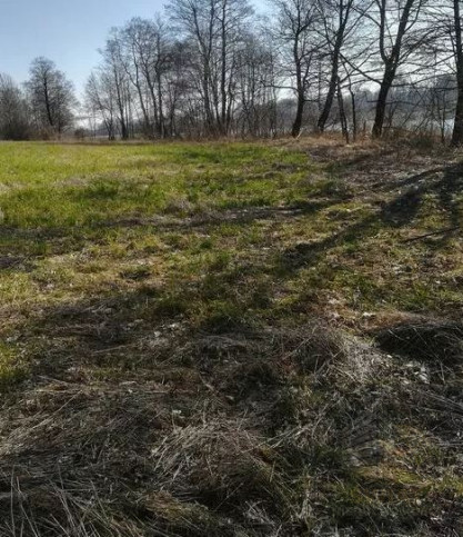 Działka Sprzedaż Kaszewo 6