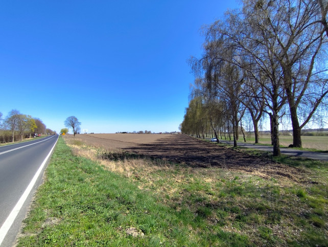 Działka Sprzedaż Wojcieszyn 4