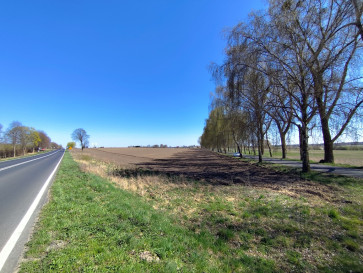 Działka Sprzedaż Wojcieszyn