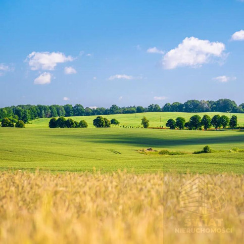 Działka Sprzedaż Przemocze 2