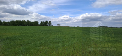 Działka Sprzedaż Bagna