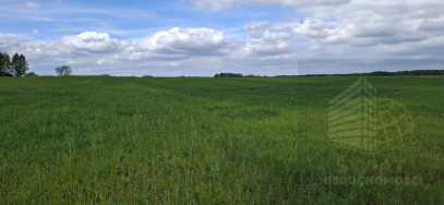 Działka Sprzedaż Bagna