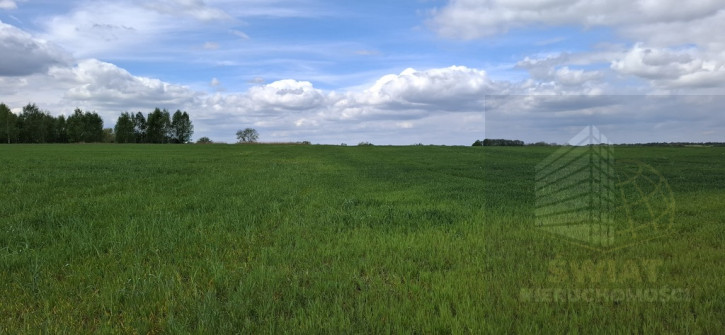 Działka Sprzedaż Bagna 4