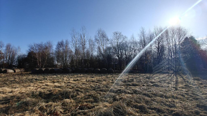 Działka Sprzedaż Koszalin Łabusz Wilków Morskich 8