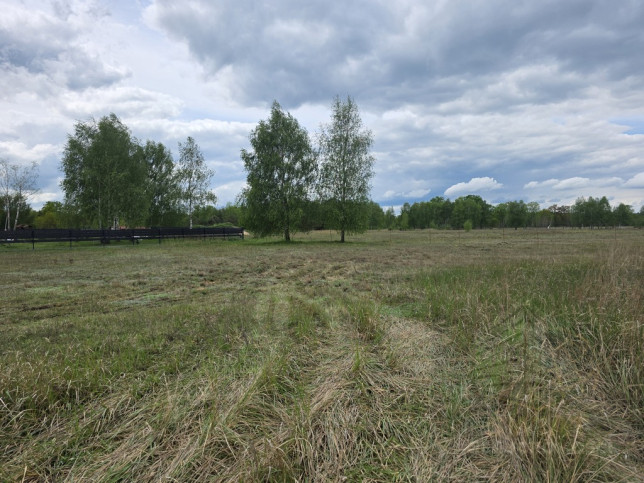 Działka Sprzedaż Grzepnica 3